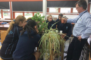 Gardening Lesson