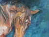 alice-edgedale-uvi