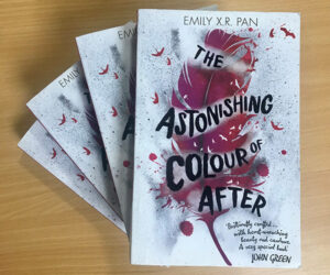 Read more about the article Year 8 Book Club Review: The Astonishing Colour of After