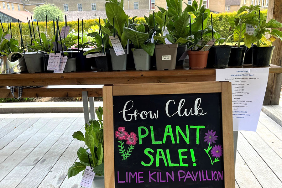 A Successful First Plant Sale for Grow Club